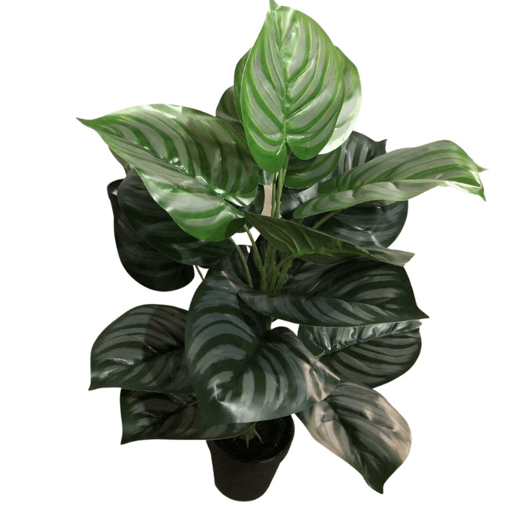 Planta artificial Aglaonema Verde 60 cm 18 hojas - Elsie Jardinería